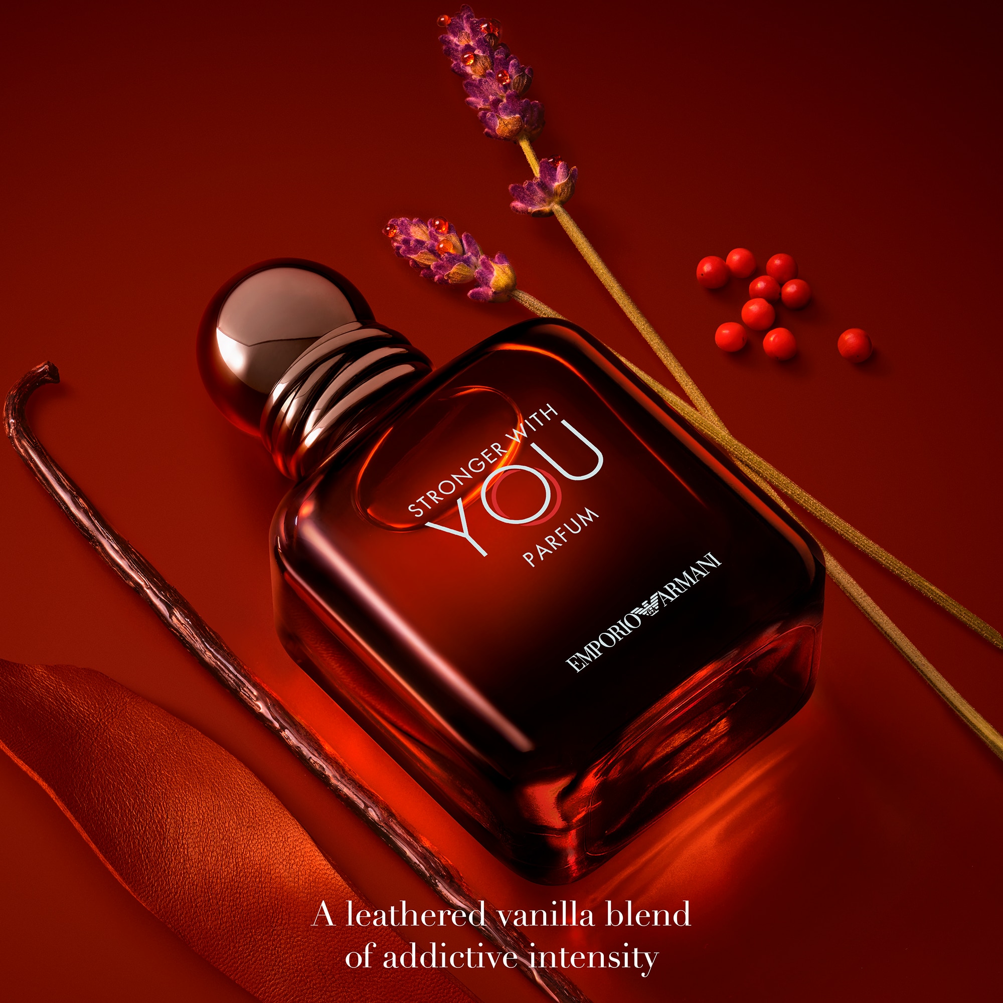 Perfume Giorgio Armani Stronger With You Masculino Eau De Parfum
